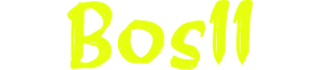 Bos11